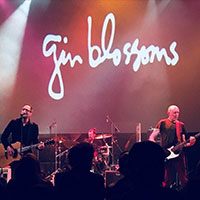 Gin Blossoms