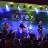 Los Lobos Tickets