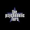 The Psychedelic Furs Tickets